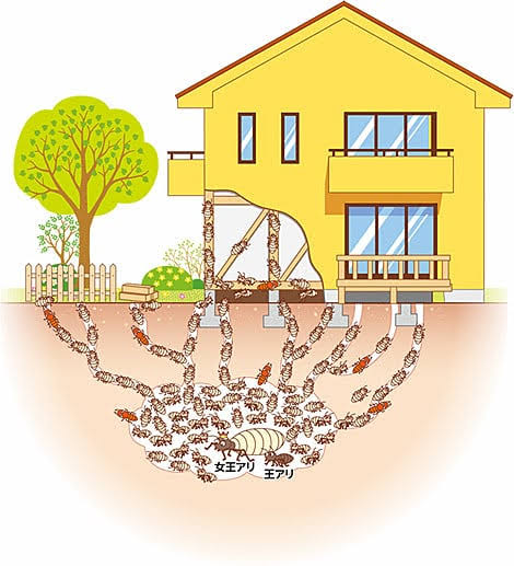 【白蟻調査】【白蟻駆除工事】【白蟻防蟻処理工事】市原市